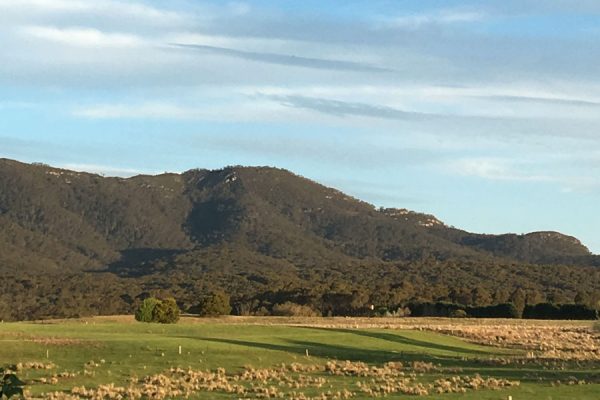 Owl farm braidwood landscape