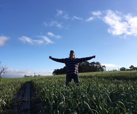 harvest-time-owl-farm-braidwood