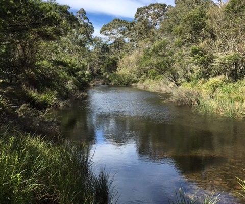 mongarlowe_river